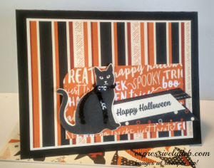 Spooky Cat, Spooky Night, Spooky Fun